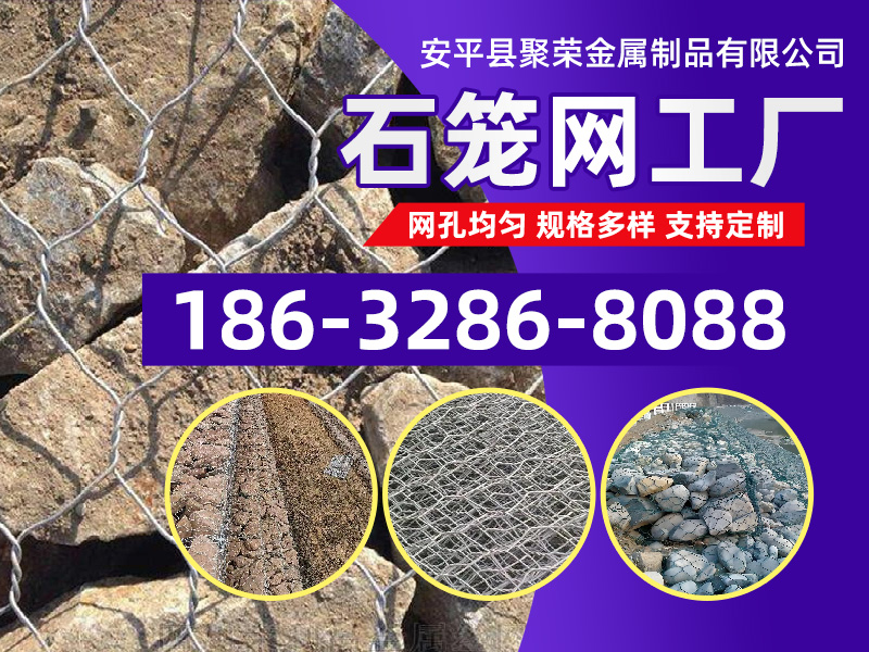 广告 - 推荐